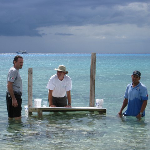 cozumelcoralpropproject2007javertake 180